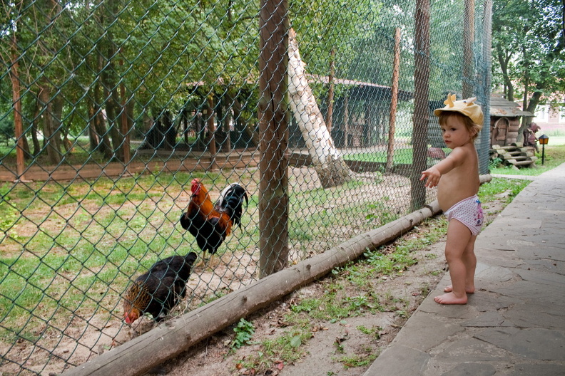 Колкуново 20100729_058.jpg